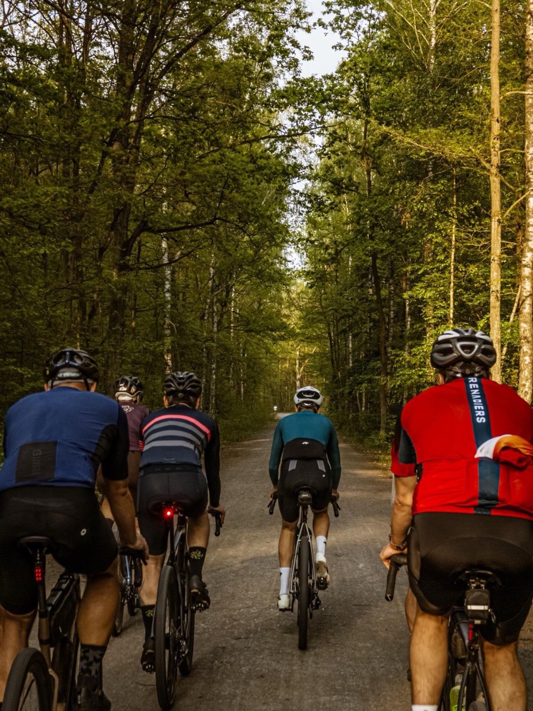 Cyclists riding through a green forest road